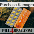 Purchase Kamagra new05